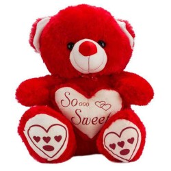 Red Teddy Bear holding red So Sweet Heart